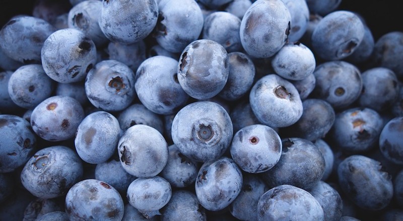 growing-blueberries-031017.jpg