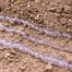 STV Slugs Away® Barrier Gel Pest Control - 650ml (STV096)Alternative Image1