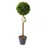 Smart Garden Uno Artificial Topiary Tree 40 cm (5045085)Alternative Image1