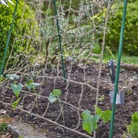 Smart Garden EcoJute Pea & Bean Garden Netting 1.8m x 1.8m (7030007)