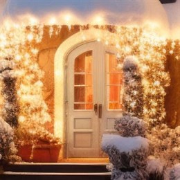 Christmas Lights & Animated Figures