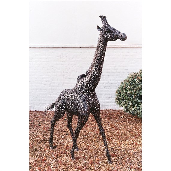 Bakers Giraffe Metal Garden Statue (AN222)
