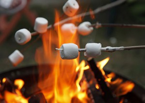 Roasting Marshmallows