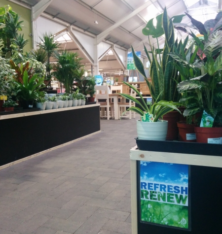 Houseplants range at Longacres