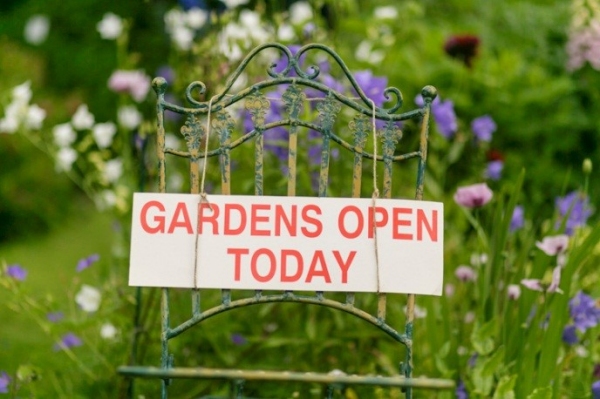 Shere Open Gardens