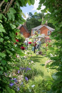 Shere Open Gardens