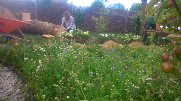Tillers Turf on Love Your Garden