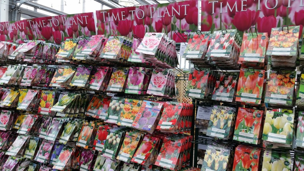 At Longacres you can choose from a wide range of bulbs.