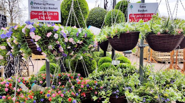 hanging baskets at Longacres