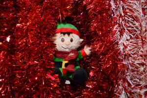 Elf5