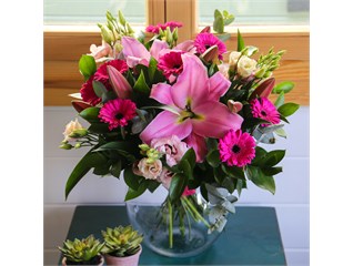 Longacres Garden Centres Visit our Online Shop for Today s Offers