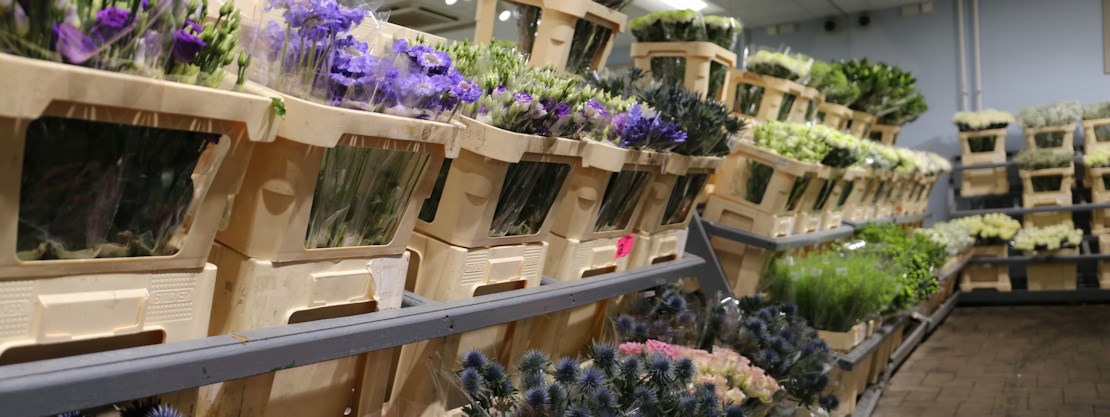 Longacres Bagshot fresh cut flower shop