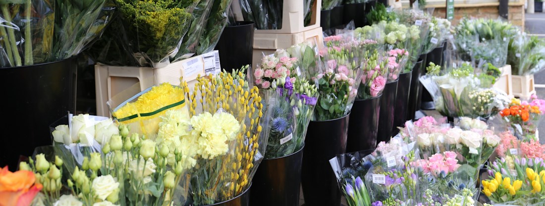 Longacres Chobham individual cut flower bunches