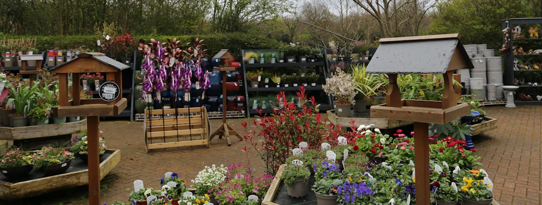 Longacres Chobham outdoor area filled with plants, garden décor and wild bird accessories