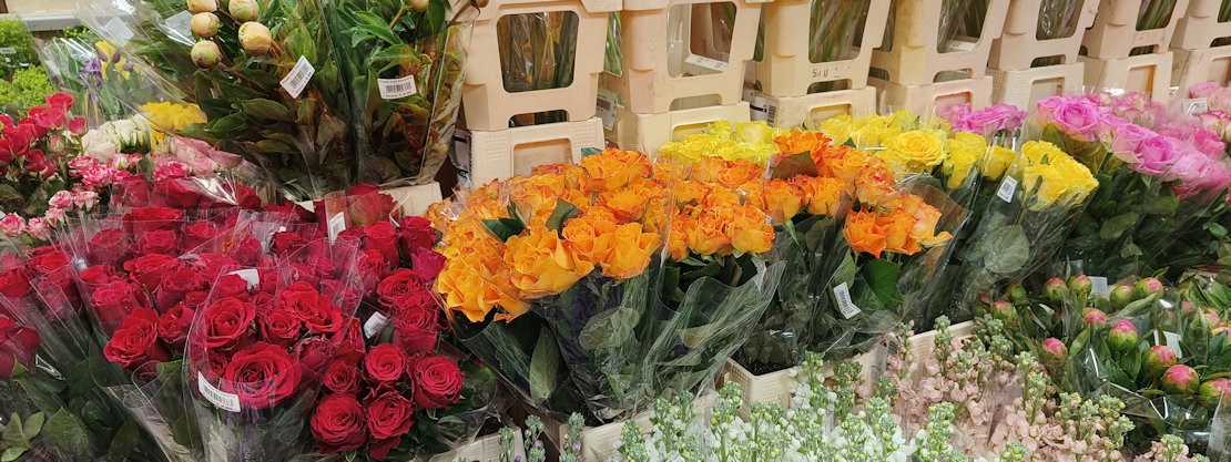 Longacres Shepperton flower shop fully stocked with individual bunches of freshly cut flowers