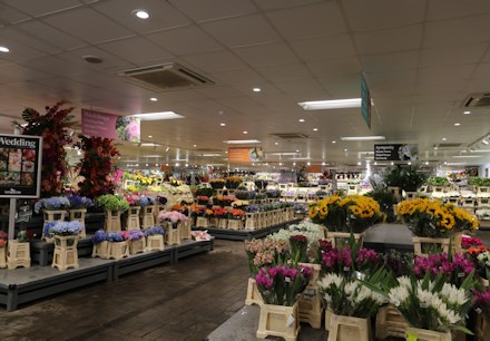 Longacres Bagshot large flower shop filled with individual cut flower bunches