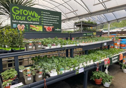 Longacres Bourne Valley grow your own fruit and vegetable plants