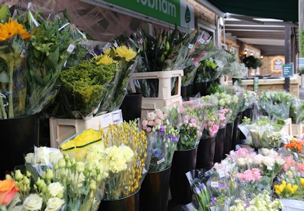 Longacres Chobham individual cut flower bunches