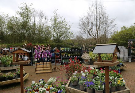 Longacres Chobham outdoor area filled with plants, garden décor and wild bird accessories