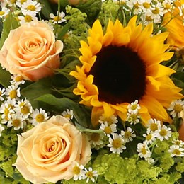 Summer Flowers
