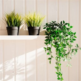 Artificial Potted Plants