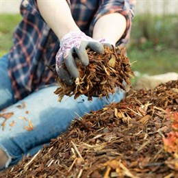 Autumn Lawn Soil, Bark and Mulches