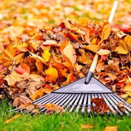 Autumn Tools