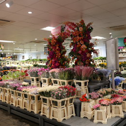 Individual Flower Bunches