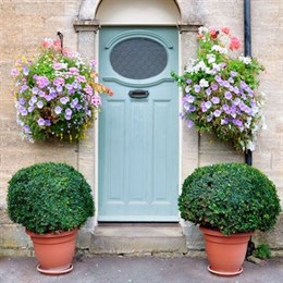 Hanging Baskets & Wall Baskets