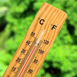 Outdoor Thermometers