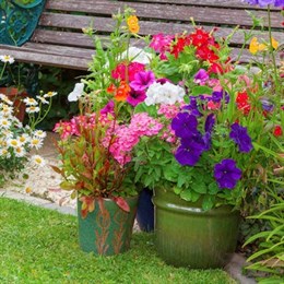 Garden & Plant Pots