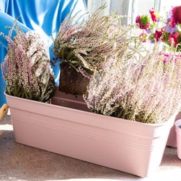 Trough Planters