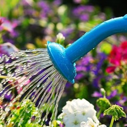 Watering Cans