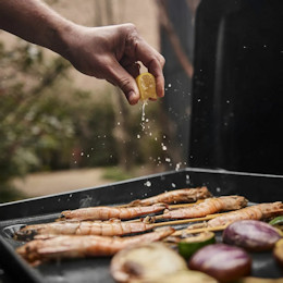 Weber Griddle Gas BBQs