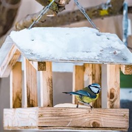 Wild Bird Tables