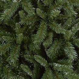 Slim Christmas Trees