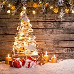 Light Up Christmas Decorations