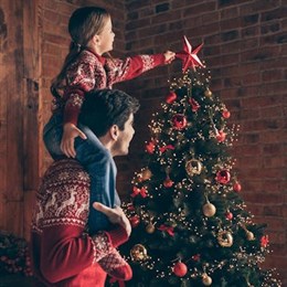 Christmas Tree Toppers