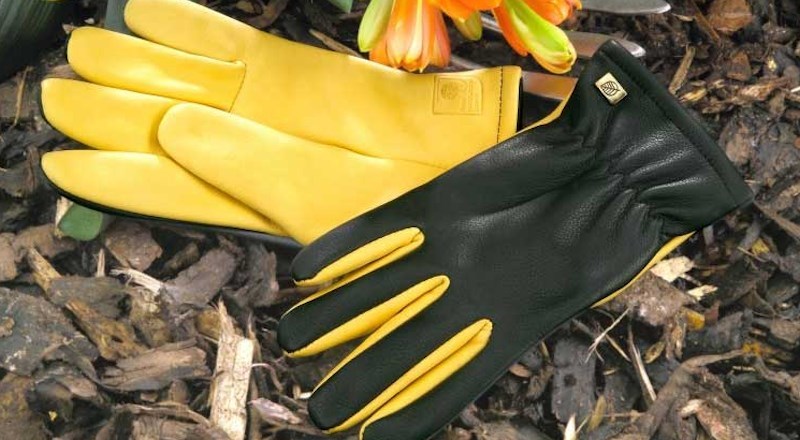2014_11_gold-leaf-gloves-free-delivery-when-purchased-online.jpg