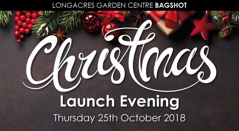 Bagshot_Christmas_Launch_2018_Blog.jpg