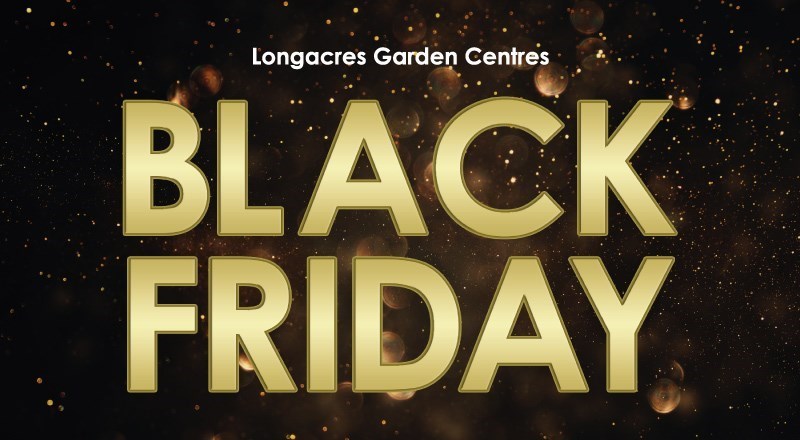 LA-Black-Friday-Blog-Header-2020-v2.jpg