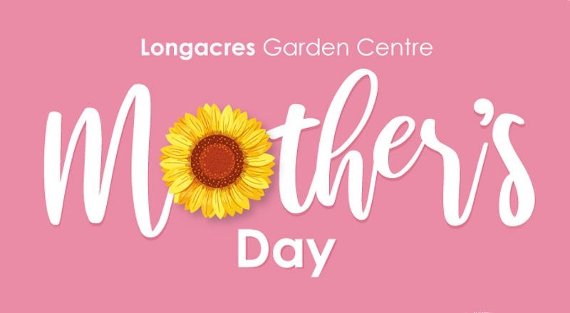 Mother-Day-Floristry-blog-2019.jpg