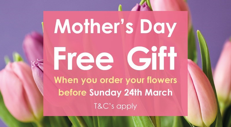 Mothers-Day-Flower-Promo-blogheader-2019.jpg