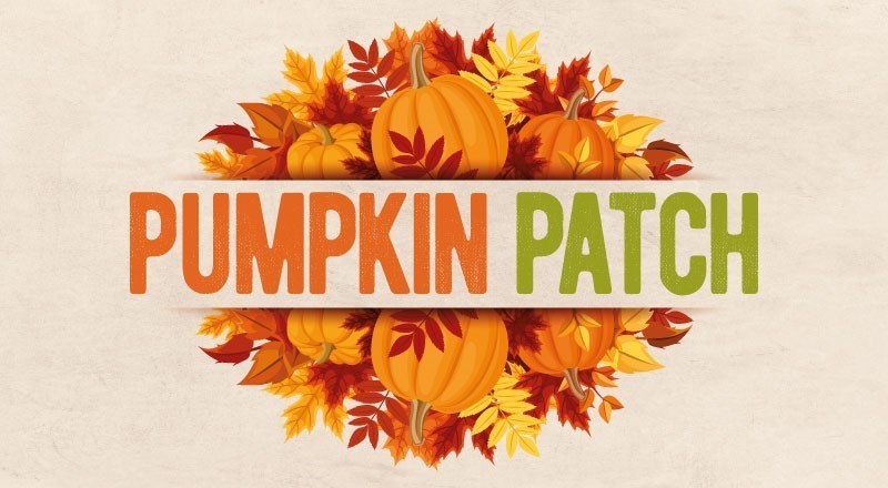 Pumpkin-Patch-Blog-header-2019.jpg