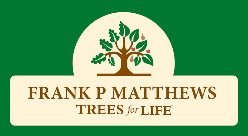 frank-p-matthews-tree-care-tips.jpg