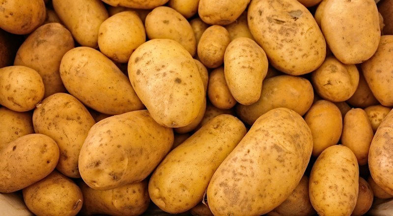 grow-your-own-potatoes-for-christmas-210717.jpg
