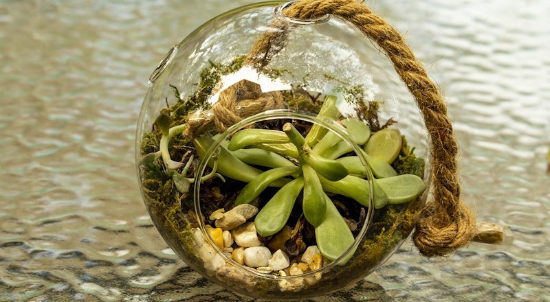 houseplants-feature-planting-a-terrarium.jpg