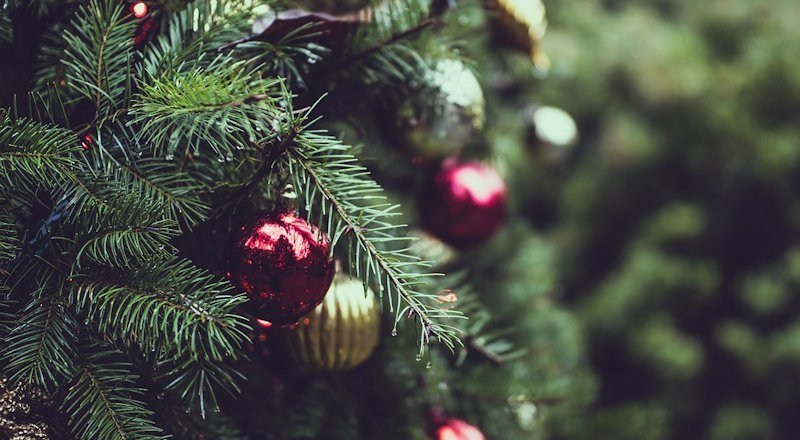 how-to-care-for-your-real-christmas-tree-2017.jpg