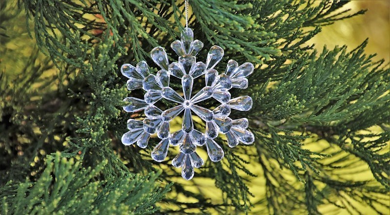 longacres-christmas-tree-care-guide.jpg