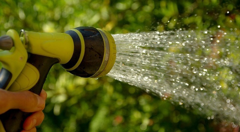 summer-gardening-in-dry-conditions.jpg